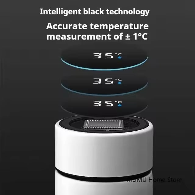 Smart Water Bottle with LED Temperature Display – Stainless Steel Flask